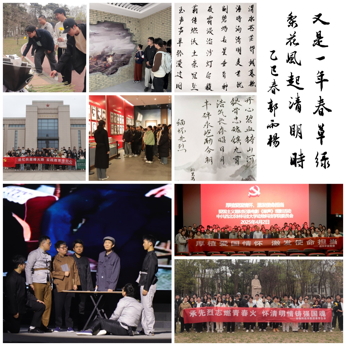 宅宅爱动漫
开展清明节系列教育活动.jpg