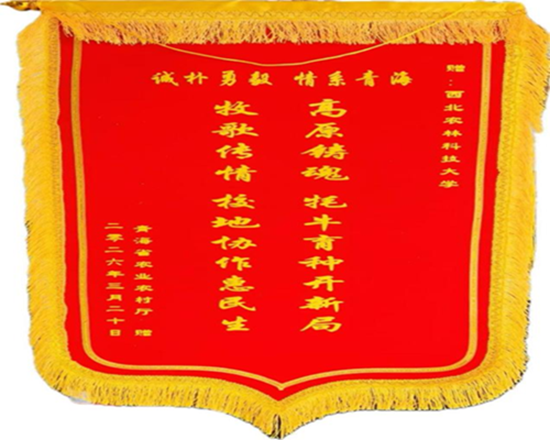 青海省农业农村厅赠宅宅爱动漫
的锦旗_副本.png