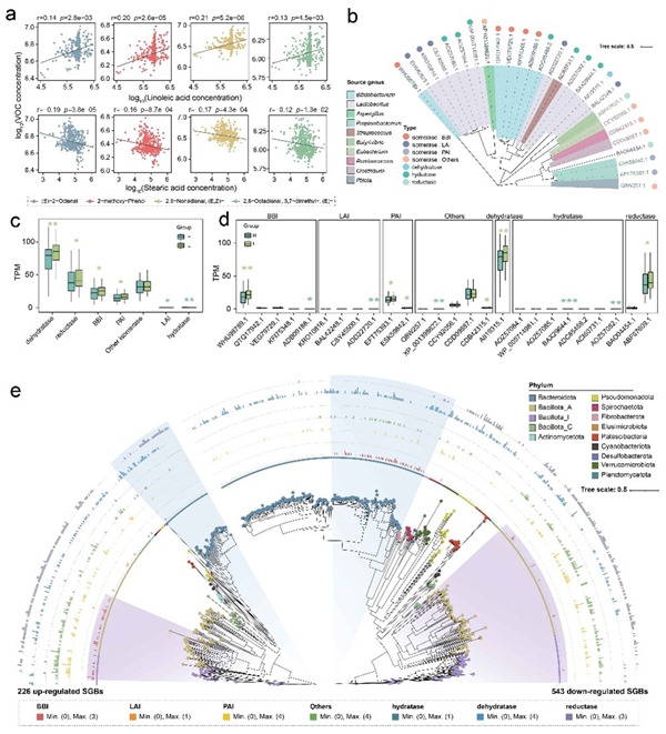 图片2_副本.jpg