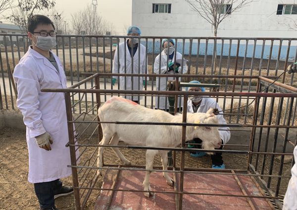 宅宅爱动漫
研究生称重后备种公羊_副本.jpg