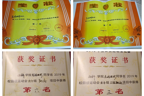 feae0fff2ba445159f5fac22d1522afa.jpg 文体方面的证书.jpg