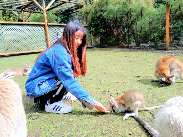 638741c39dc94563a9a997db036a2936.jpg 王晗.jpg