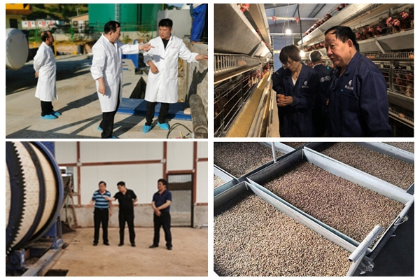 693a67aec33a452a81551236cc6a4db8.jpg NeoImage_副本.jpg