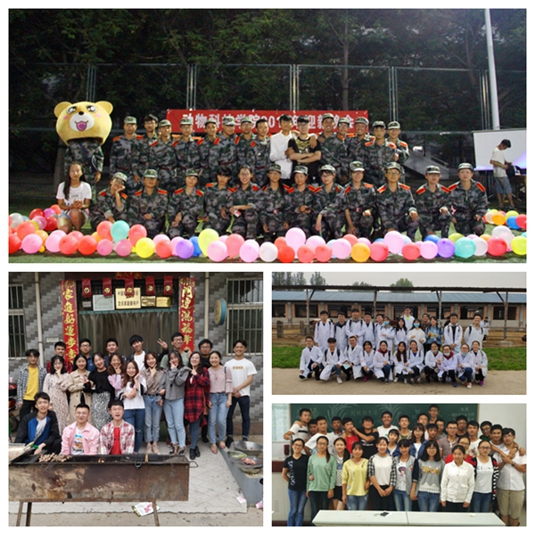 ae1906b490e5482f9697a3ee699c066d.jpg 1.jpg