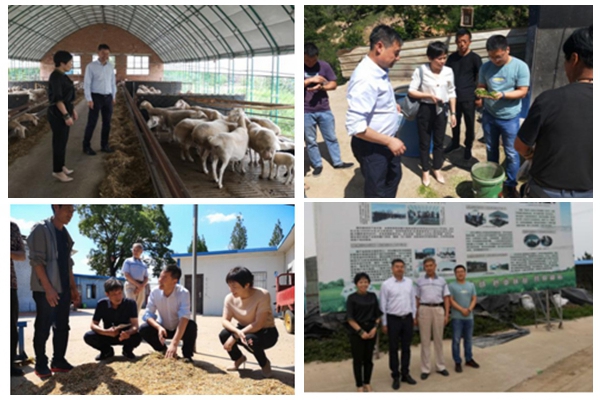 991b7c29d39345eb994dfc56f203f4c8.jpg NeoImage_副本.jpg