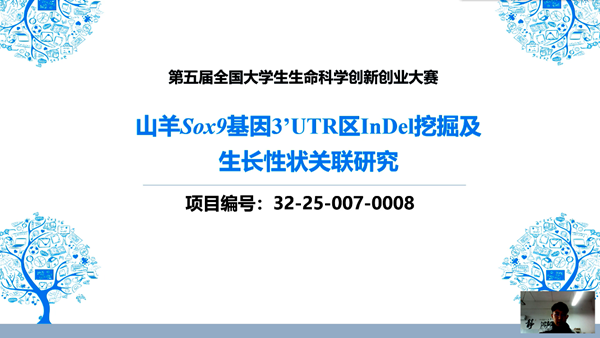 7c8a8b8d546040208c2a2b60dd4d0177.png 图片7.png