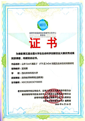 d5fd70b33c5f4b46953e2ec9b195b4c2.png 图片9.png