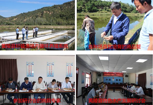 28ce87f3aac74fd38a8a6696bf717310.jpg 未标题-4_副本.jpg