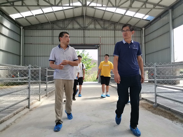 4a3e4d30c639492580f2354027ef7484.jpg 图4 参观阎良绿水奶山羊养殖场羊舍.jpg