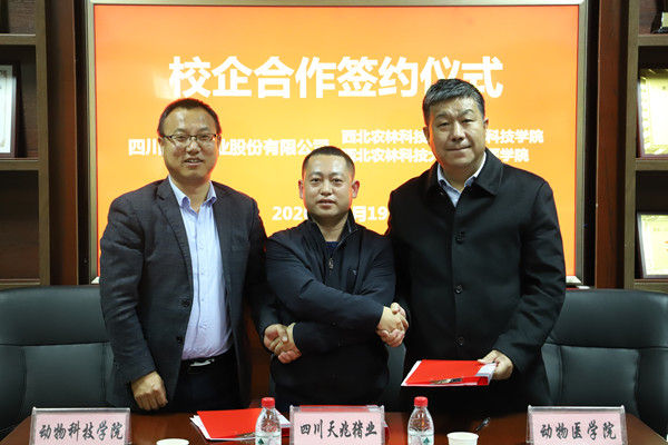 bedba8a0096a4df0bfe833872d57f658.jpg IMG_0959_副本.jpg