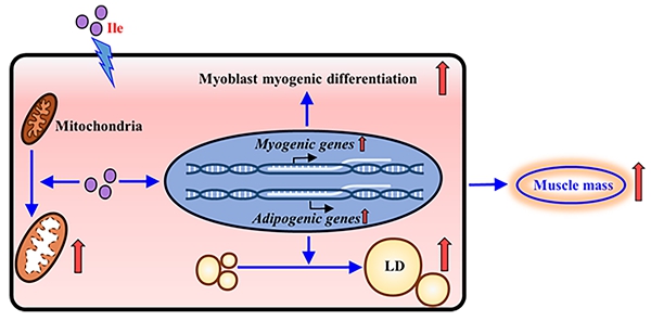 a94156f6481f4793a7e220975efaee90.jpg 论文摘要图2_副本.jpg