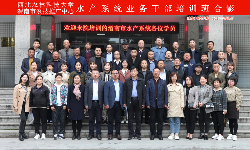 0c54e492add34657b76ee4a4628a32b4.jpg 4.jpg