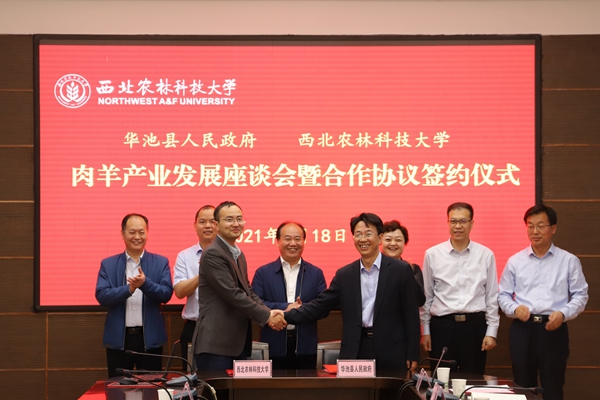 9e08d6c3b7484b02840d187b7a830d54.jpg IMG_7561.JPG