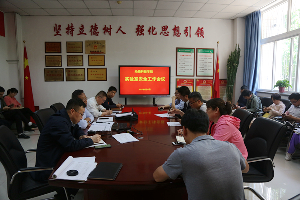 ddc6268f1e304042a8275156c8daf3ae.jpg 1.jpg