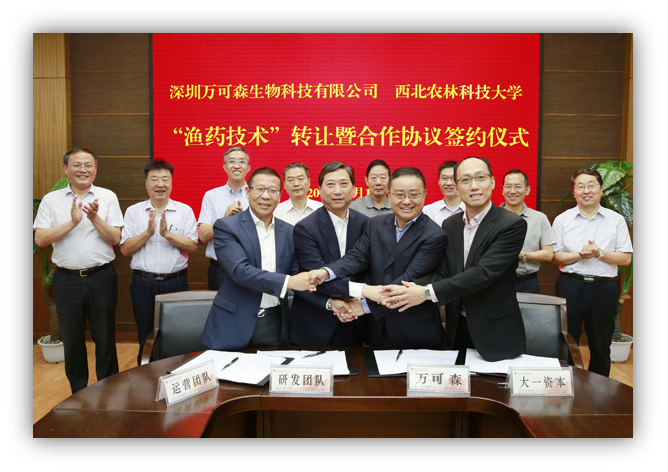 06c14a90504049f98769553ac39e02ad.png 图片1.png