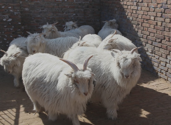 b68bb132538a45cd826f120dc60b2eec.png 图片4.png