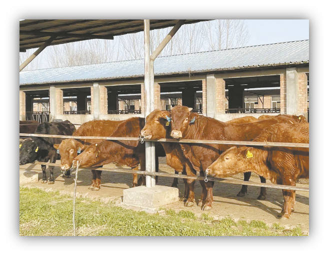 edaaffca70c14c67975c327eb6c4196f.png 图片3.png