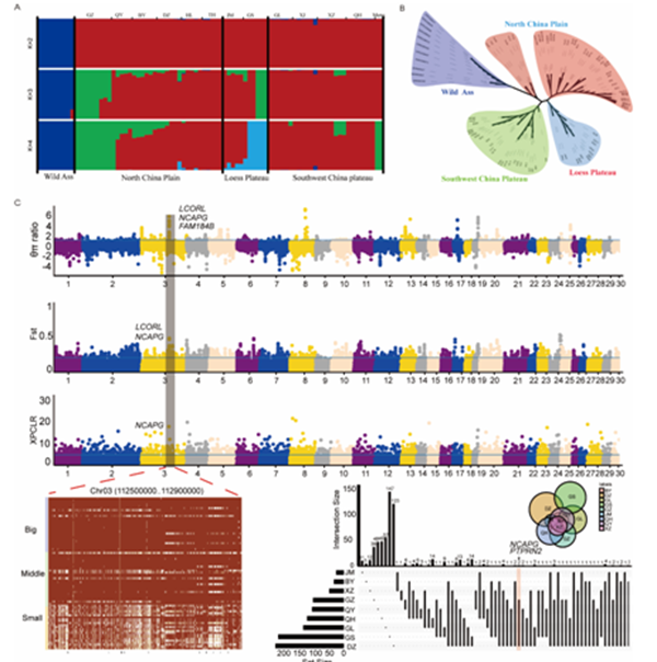 7e73a96ef5d549789631b50c46fd1b8f.png QQ图片20210707160922.png