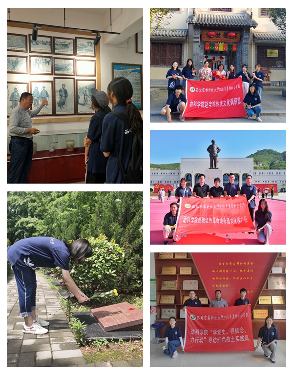 02686eb1c1fb4f918c5327d085fc72e4.jpg NeoImage_副本_副本_副本1_副本4.jpg