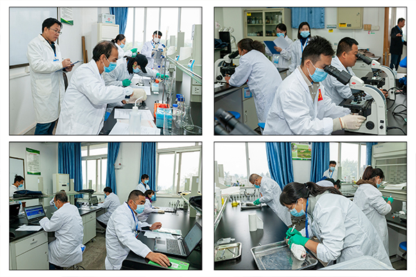 4e403f77d6b64386afedbe37ad9b237b.jpg 实操拼图 拷贝.jpg