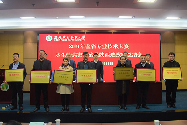 59d2c0aaf18149c49d95007e48e459cf.jpg 优秀组织奖获得队伍.JPG