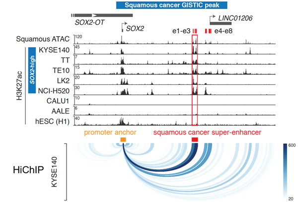 c7333afa903044069f9efdfebfaa2a9e.png 2_副本.png