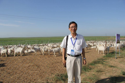 98c1a07fe9c045eab9c359ab2831ec67.png image.png