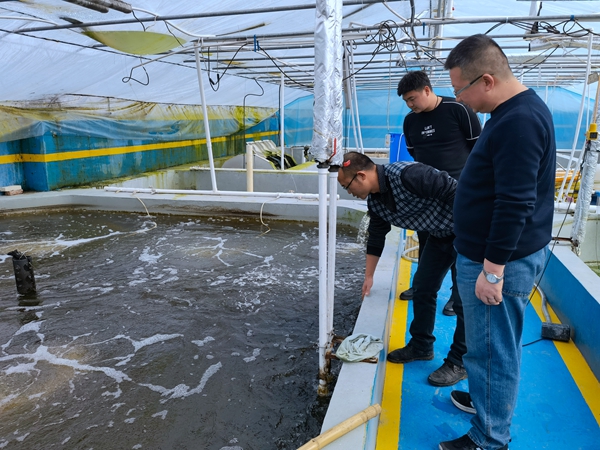 66157db02b71431eae84407e85eb2949.jpg 壹加壹公司现场指导 (1)_副本.jpg