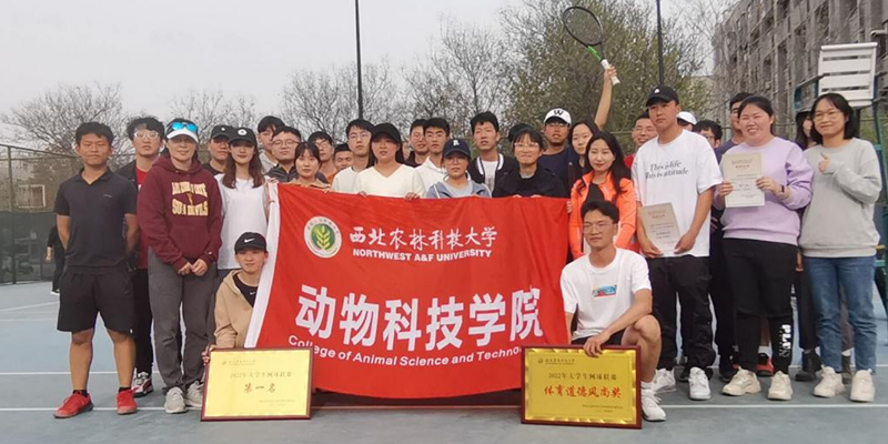 青春无畏 奋进拼搏 宅宅爱动漫
网球队在“中行杯”大学生网球团体赛中夺冠