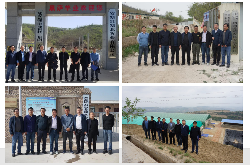 5b32ffb89ff74f48b86c86a893663e1b.png 5b32ffb89ff74f48b86c86a893663e1b.png