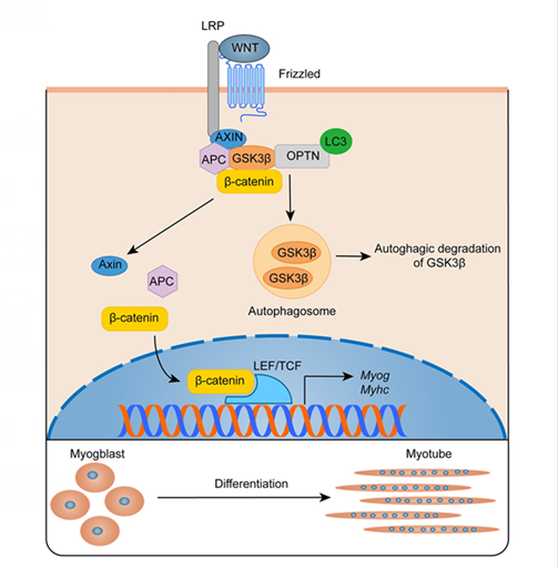 e9cae1df6dc64ca082062f1835c450d4.png QQ图片20220512145752.png