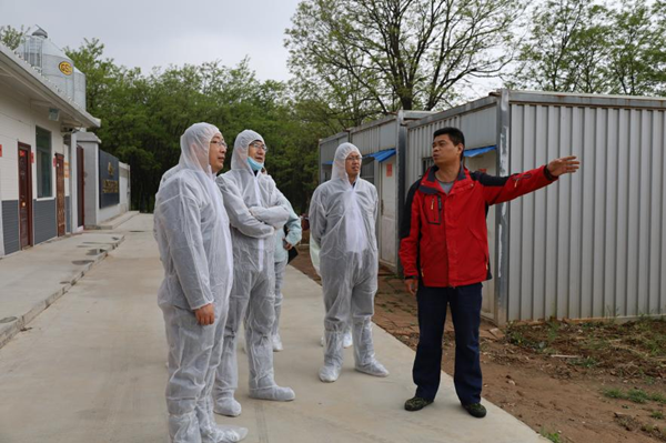 fe1497da3d4c40f088a0e0067ee00e61.png 了解公猪站精液生产情况_副本.png