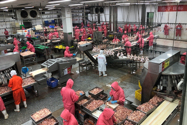 507f041706ed41d680cf7c7229864806.jpg 肉品加工调研_副本.jpg