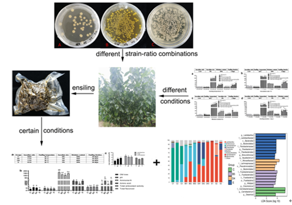 6d36430949fe4b60a07916aab69be6db.png QQ图片20220607153247_副本.png