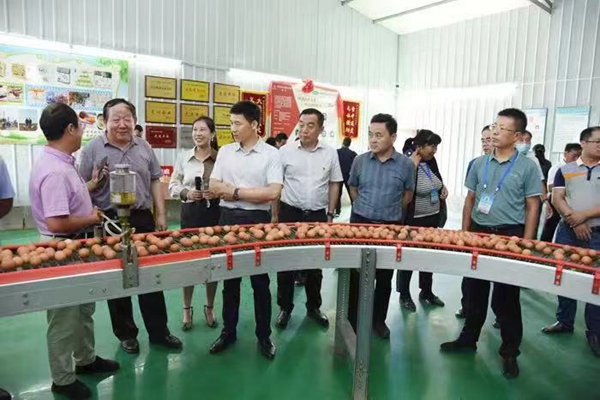 bafb3ea11a0e45aead73923d76fe1444.jpg 蛋鸡产业链调研_副本.jpg