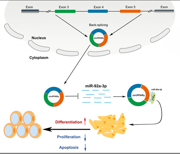 bfa6d9533e714584914489816d1a676c.png QQ图片20220621095510_副本.png