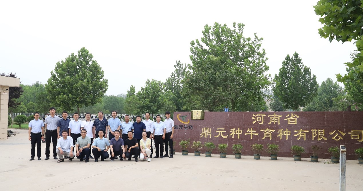 8cfaaec49d8f4348a14e8c9eddcbcace.jpg 8cfaaec49d8f4348a14e8c9eddcbcace.jpg