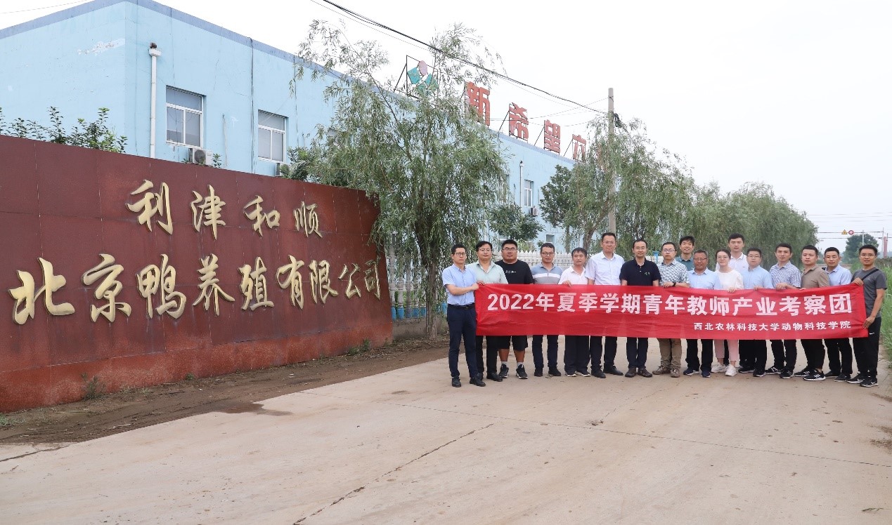 de2cefc75b874ac484df3c653c443536.jpg de2cefc75b874ac484df3c653c443536.jpg