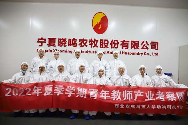 e69877ab6e344d2fb29b923d090d3f38.jpg 宁夏晓鸣农牧.JPG