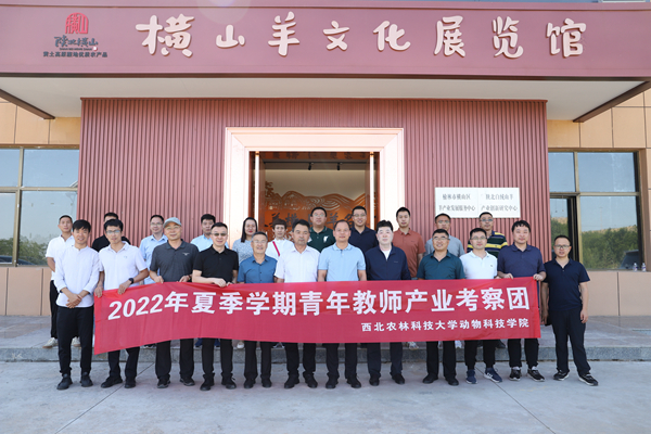 ed1dffae1be34275baebb358a4ea4021.jpg 横山羊文化展览馆.JPG