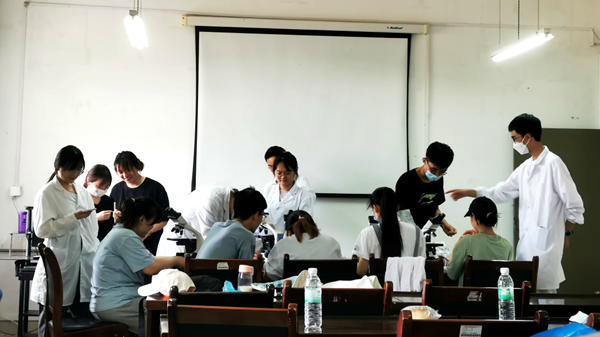 f397d0ef3f974c0294f09d2a3ba847ff.png 图片 2_副本.png