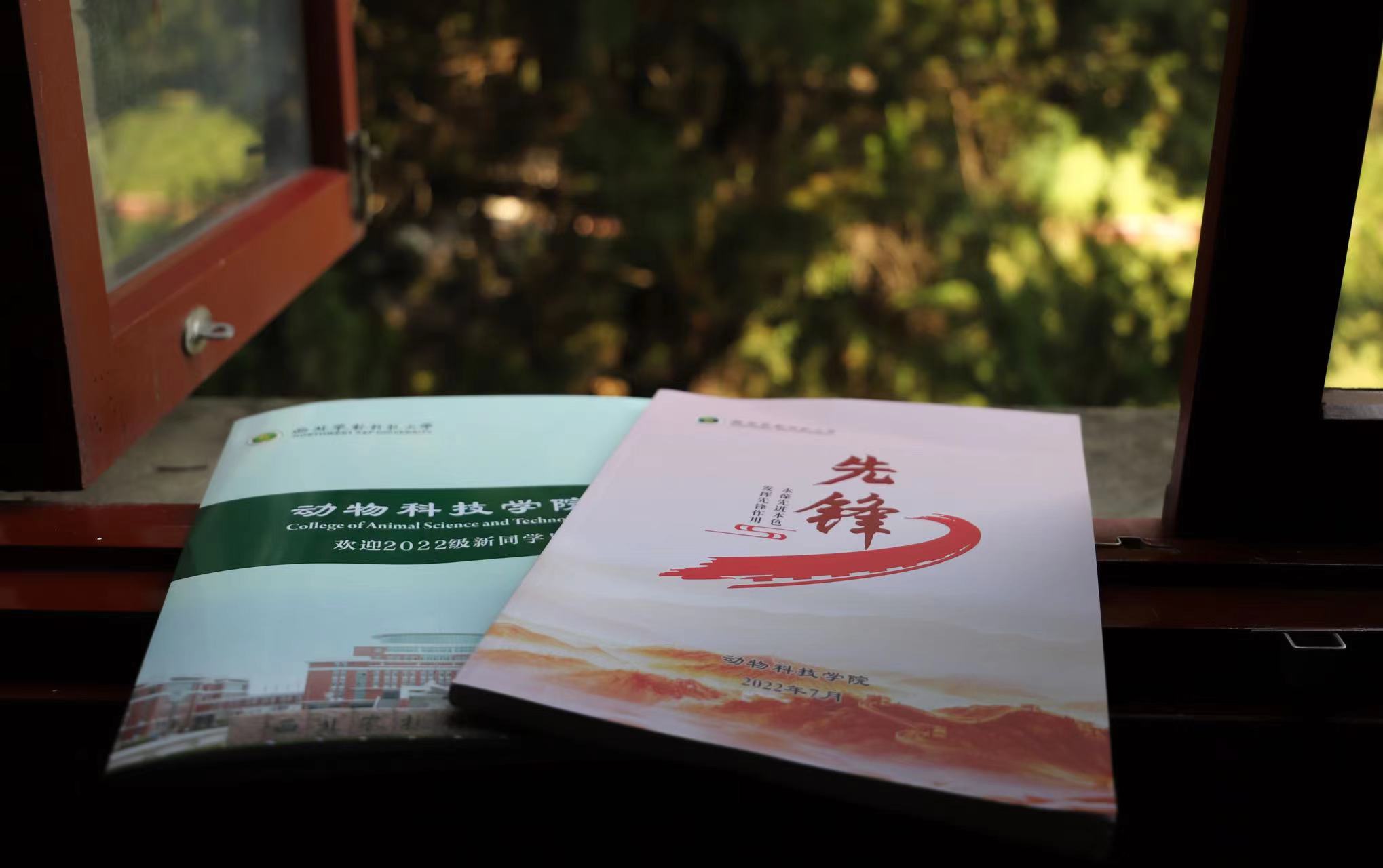 78116410bebb467cae931815d4922587.jpg 78116410bebb467cae931815d4922587.jpg