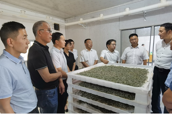 a3cf364a65a749be807f59a2441ad03d.png QQ图片20220909112114_副本.png