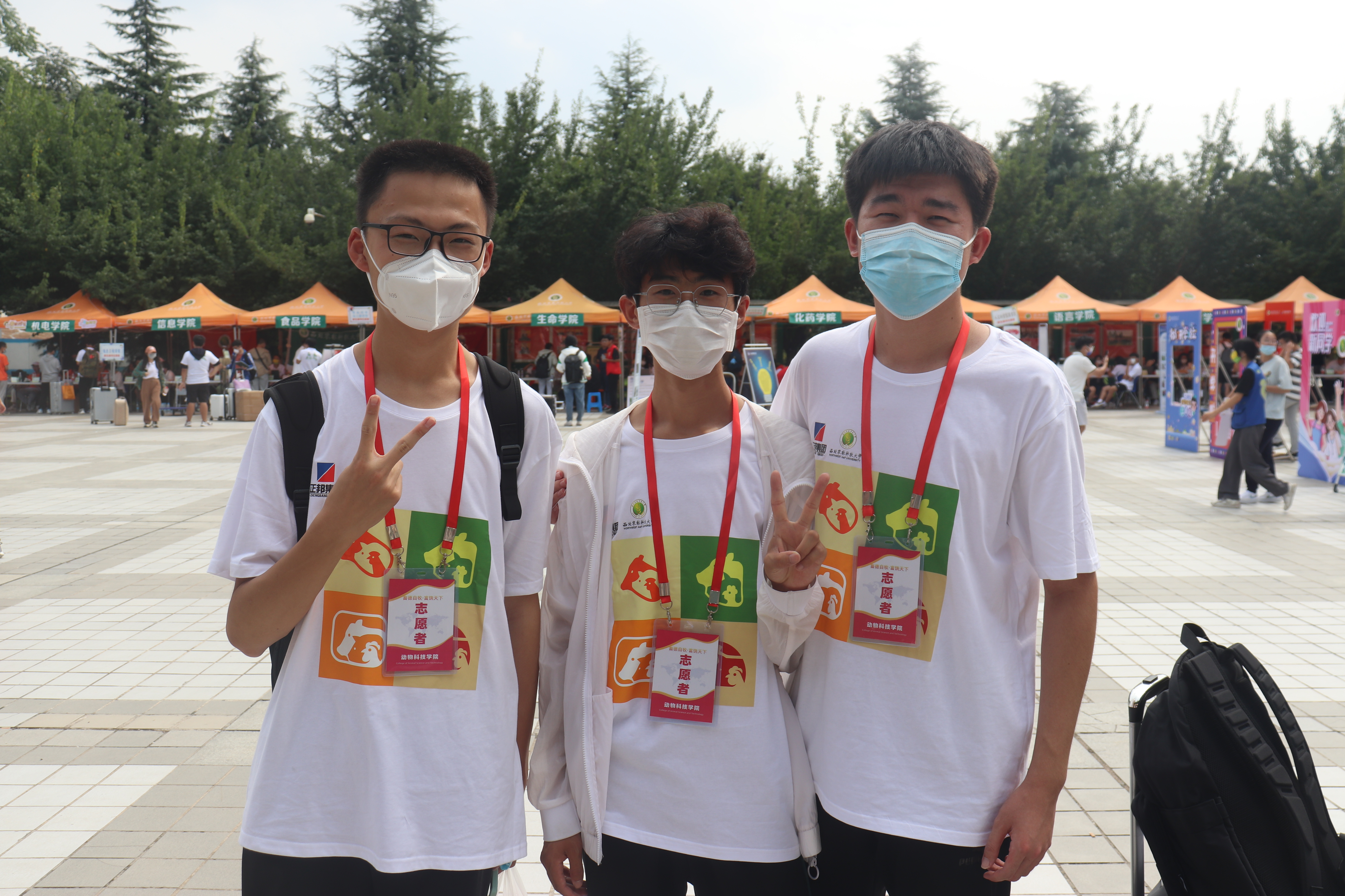 ecbec4ba0283426dabaabfc0ecb61744.jpg ecbec4ba0283426dabaabfc0ecb61744.jpg