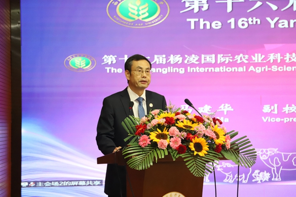 fb30e28b658a438ca5421d3a4a367116.jpg 马.jpg