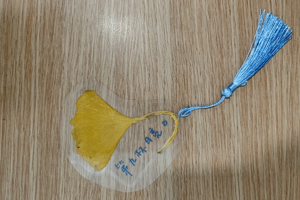 72ae4bbd90604a15a4847997d01e165c.jpg 优秀作品-银杏叶书签.jpg