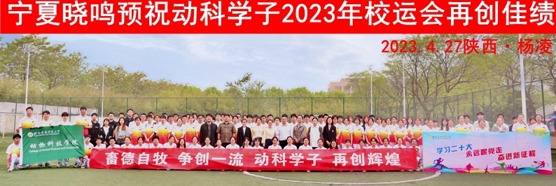 2e82b374967e4765ad97bacf62f7d9be.jpg 79f434c7214d483ca0111fcd1044dc12.jpg