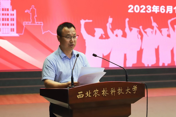 84c71cfc65b24a9e8de67c93625d9f8c.jpg IMG_6464.jpg