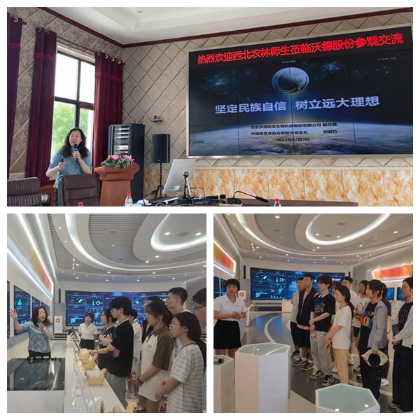 43dd3bd47c304cc889272e6997a03864.jpg 图2.jpg