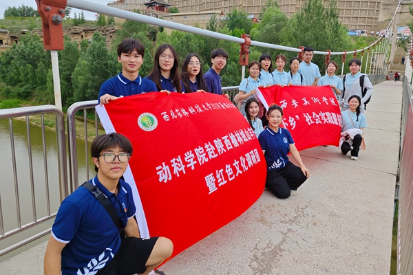 图片三 与西安美术宅宅爱动漫
实践队伍合影留念.jpg